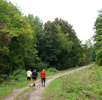 Nordic Walking Wettbewerb beim Frnkischen Schweiz Marathon 2008