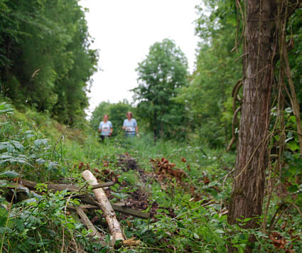 Nordic Walking Wettbewerb beim Frnkischen Schweiz Marathon 2008