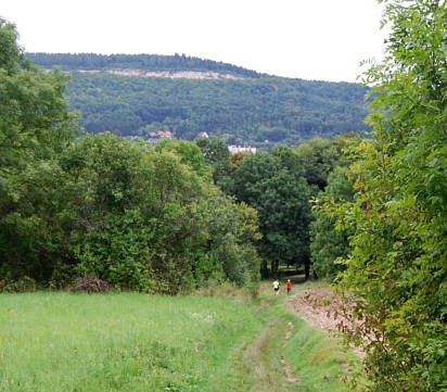 Nordic Walking Wettbewerb beim Frnkischen Schweiz Marathon 2008