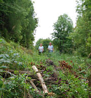 Nordic Walking Wettbewerb beim Frnkischen Schweiz Marathon 2008